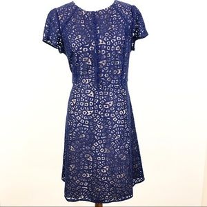 Loft navy blue and nude lace dress 12T